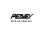 Peavey Guitar Decal Metal M57b